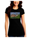 Colorado Mountains Forrest Juniors Crew Dark T-Shirt-T-Shirts Juniors Tops-TooLoud-Black-Juniors Fitted Small-Davson Sales