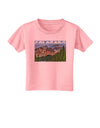 Colorado Mountains Forrest Text Toddler T-Shirt-Toddler T-Shirt-TooLoud-Candy-Pink-2T-Davson Sales