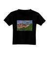 Colorado Mountains Forrest Toddler T-Shirt Dark-Toddler T-Shirt-TooLoud-Black-2T-Davson Sales