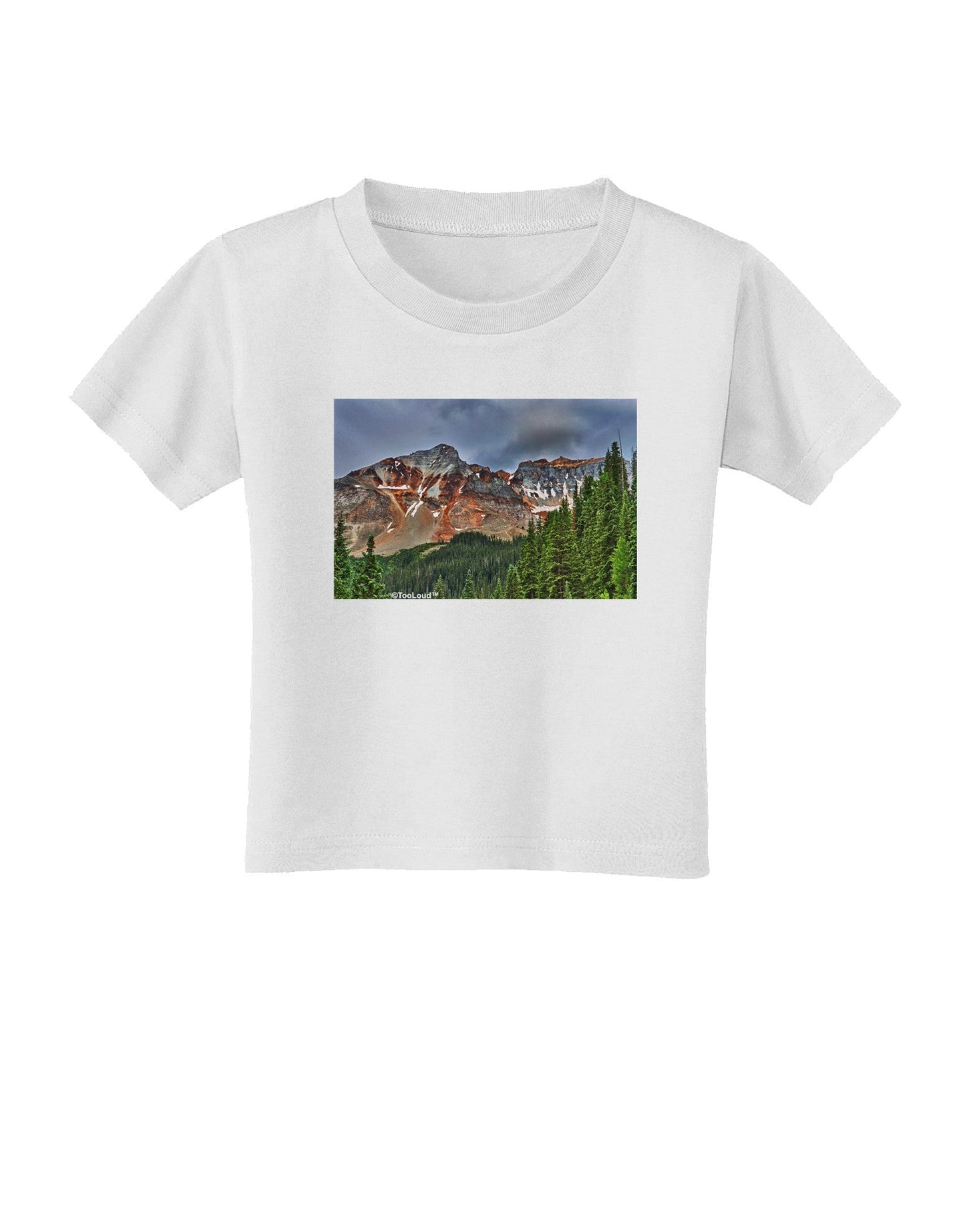 Colorado Mountains Forrest Toddler T-Shirt-Toddler T-Shirt-TooLoud-White-2T-Davson Sales