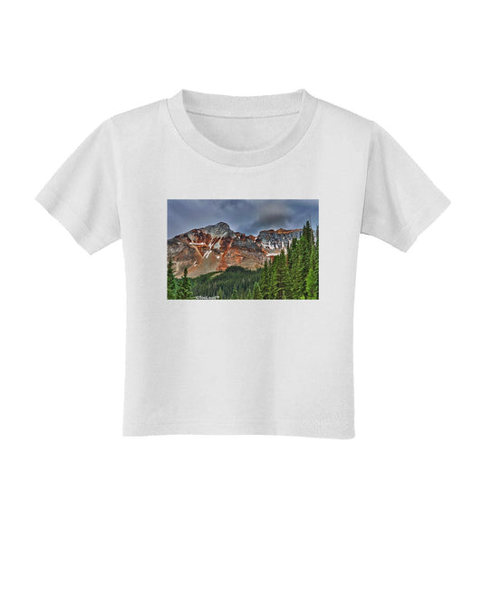 Colorado Mountains Forrest Toddler T-Shirt-Toddler T-Shirt-TooLoud-White-2T-Davson Sales