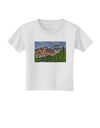 Colorado Mountains Forrest Toddler T-Shirt-Toddler T-Shirt-TooLoud-White-2T-Davson Sales