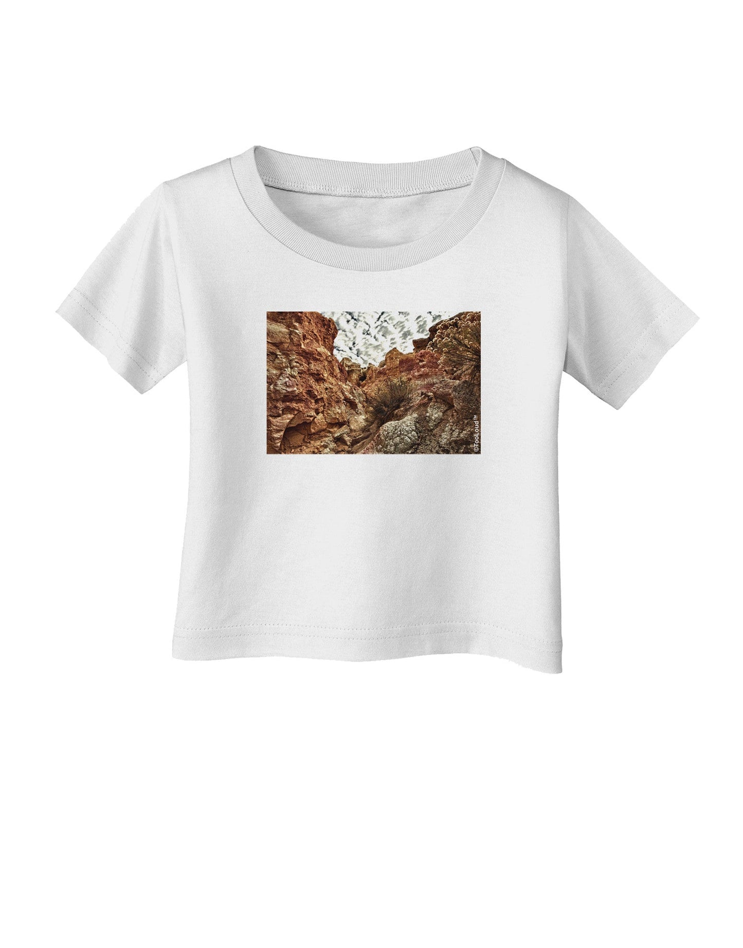 Colorado Painted Rocks Infant T-Shirt-Infant T-Shirt-TooLoud-White-06-Months-Davson Sales
