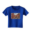 Colorado Painted Rocks Watercolor Toddler T-Shirt Dark-Toddler T-Shirt-TooLoud-Royal-Blue-2T-Davson Sales