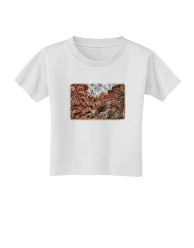 Colorado Painted Rocks Watercolor Toddler T-Shirt-Toddler T-Shirt-TooLoud-White-2T-Davson Sales