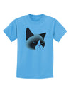 Cute Disgruntled Siamese Cat Childrens T-Shirt-Childrens T-Shirt-TooLoud-Aquatic-Blue-X-Small-Davson Sales