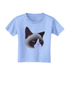 Cute Disgruntled Siamese Cat Toddler T-Shirt-Toddler T-Shirt-TooLoud-Aquatic-Blue-2T-Davson Sales