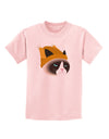 Disgruntled Cat Wearing Turkey Hat Childrens T-Shirt-Childrens T-Shirt-TooLoud-PalePink-X-Small-Davson Sales