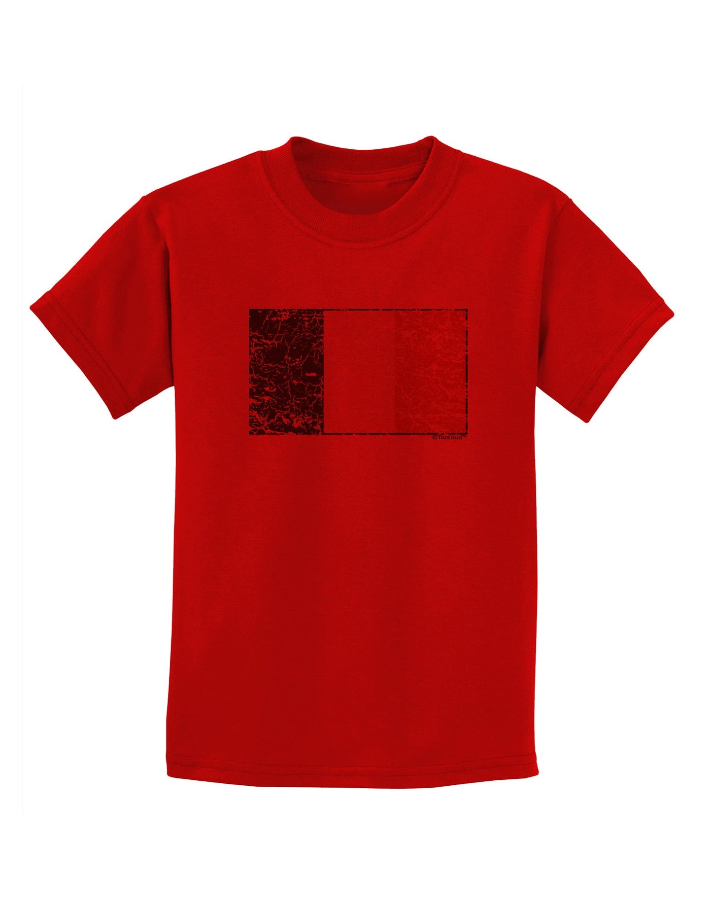 Distressed Irish Flag - Flag of Ireland Childrens T-Shirt-Childrens T-Shirt-TooLoud-Red-X-Small-Davson Sales