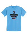 Distressed Pitbulls Aren't Evil Childrens T-Shirt-Childrens T-Shirt-TooLoud-Aquatic-Blue-X-Small-Davson Sales