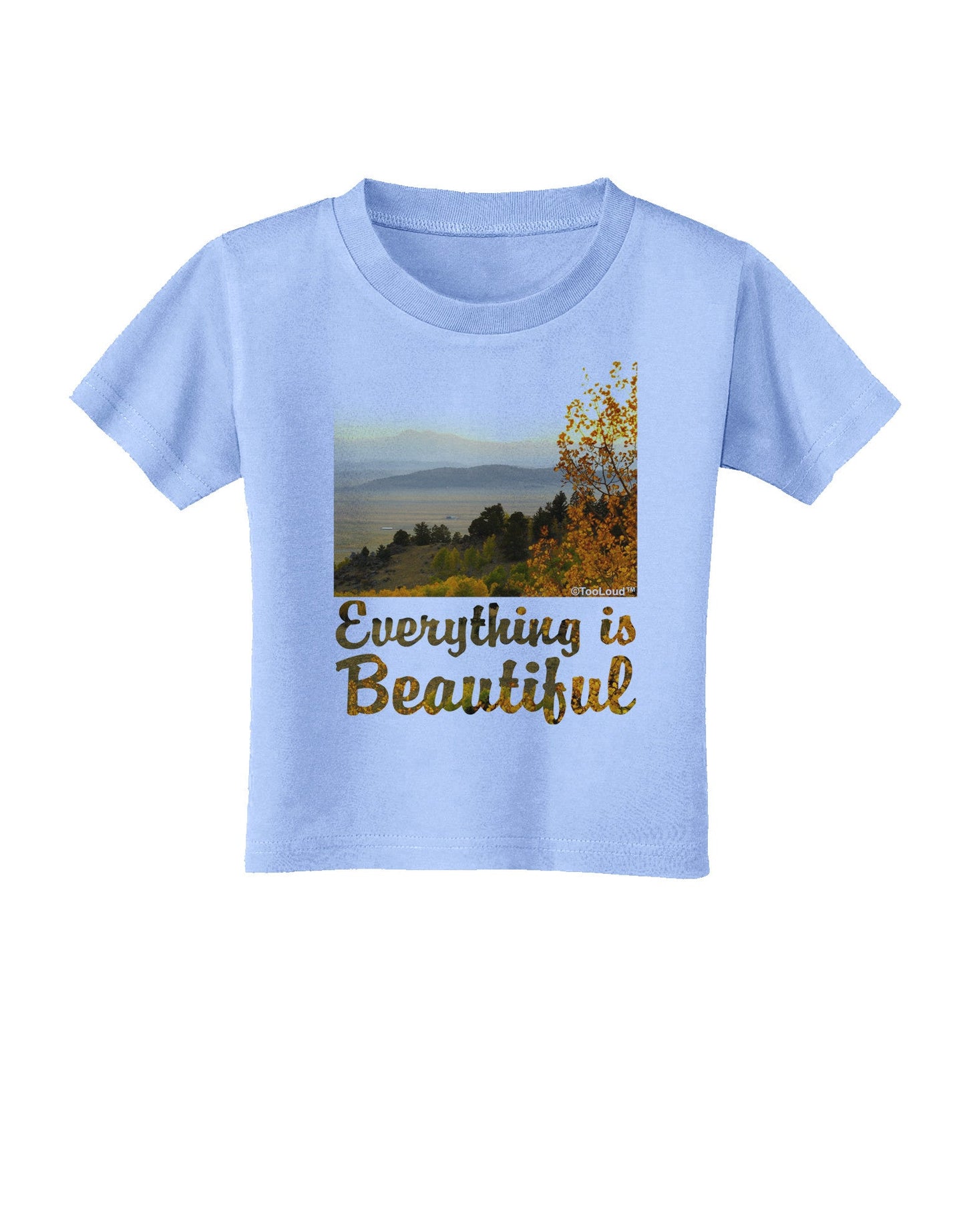 Everything is Beautiful - Sunrise Toddler T-Shirt-Toddler T-Shirt-TooLoud-Aquatic-Blue-2T-Davson Sales