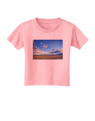 Garden of the Gods Colorado Toddler T-Shirt-Toddler T-Shirt-TooLoud-Candy-Pink-2T-Davson Sales