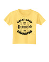 Great Dads get Promoted to Grandpas Toddler T-Shirt-TooLoud-Daffodil-Yellow-2T-Davson Sales