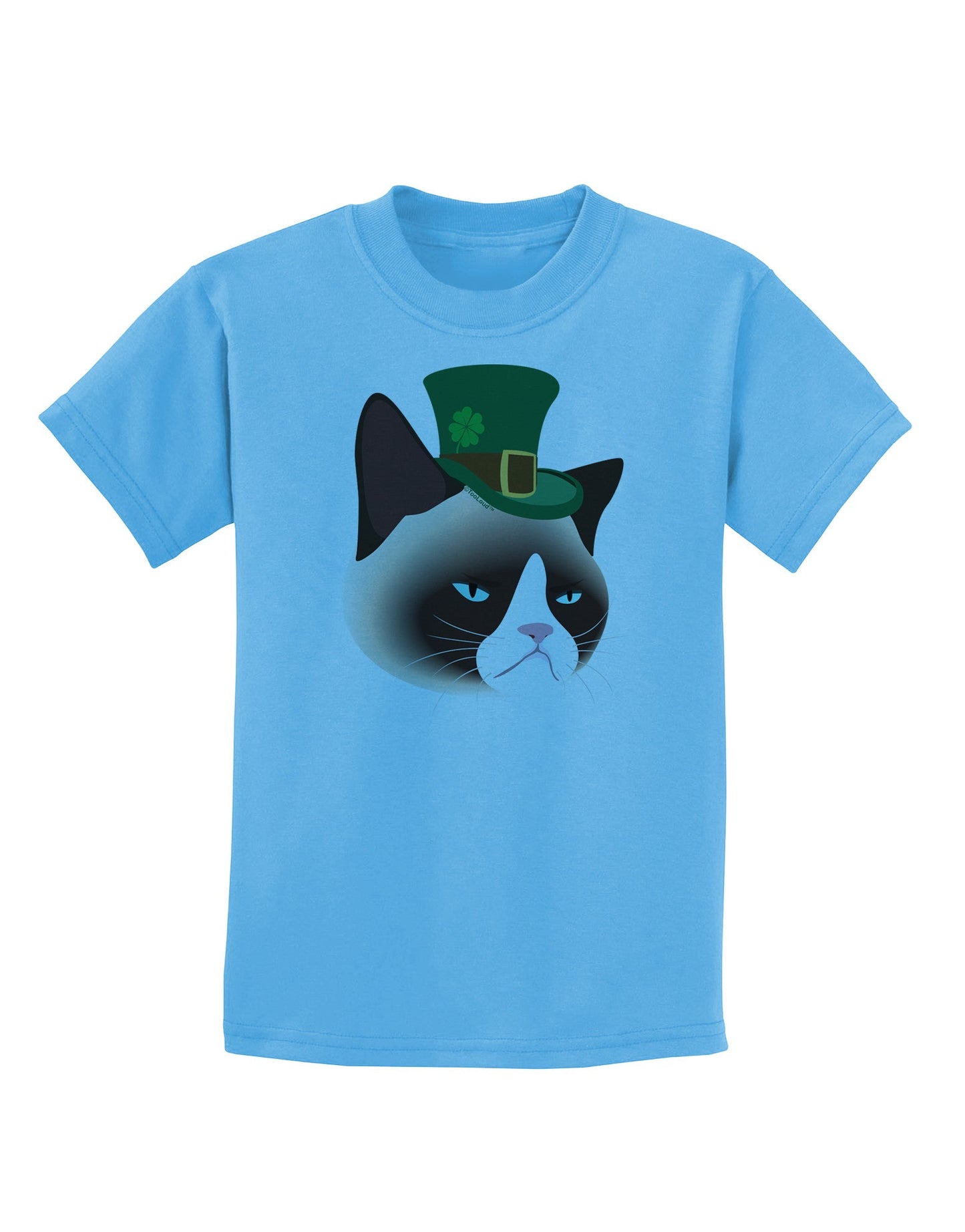 Leprechaun Disgruntled Cat Childrens T-Shirt-Childrens T-Shirt-TooLoud-Aquatic-Blue-X-Small-Davson Sales
