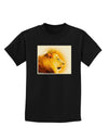 Lion Watercolor 3 Childrens Dark T-Shirt-Childrens T-Shirt-TooLoud-Black-X-Small-Davson Sales