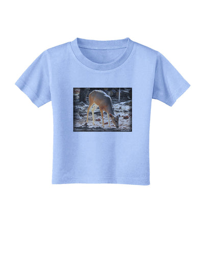 Little Buck Toddler T-Shirt-Toddler T-Shirt-TooLoud-Aquatic-Blue-2T-Davson Sales