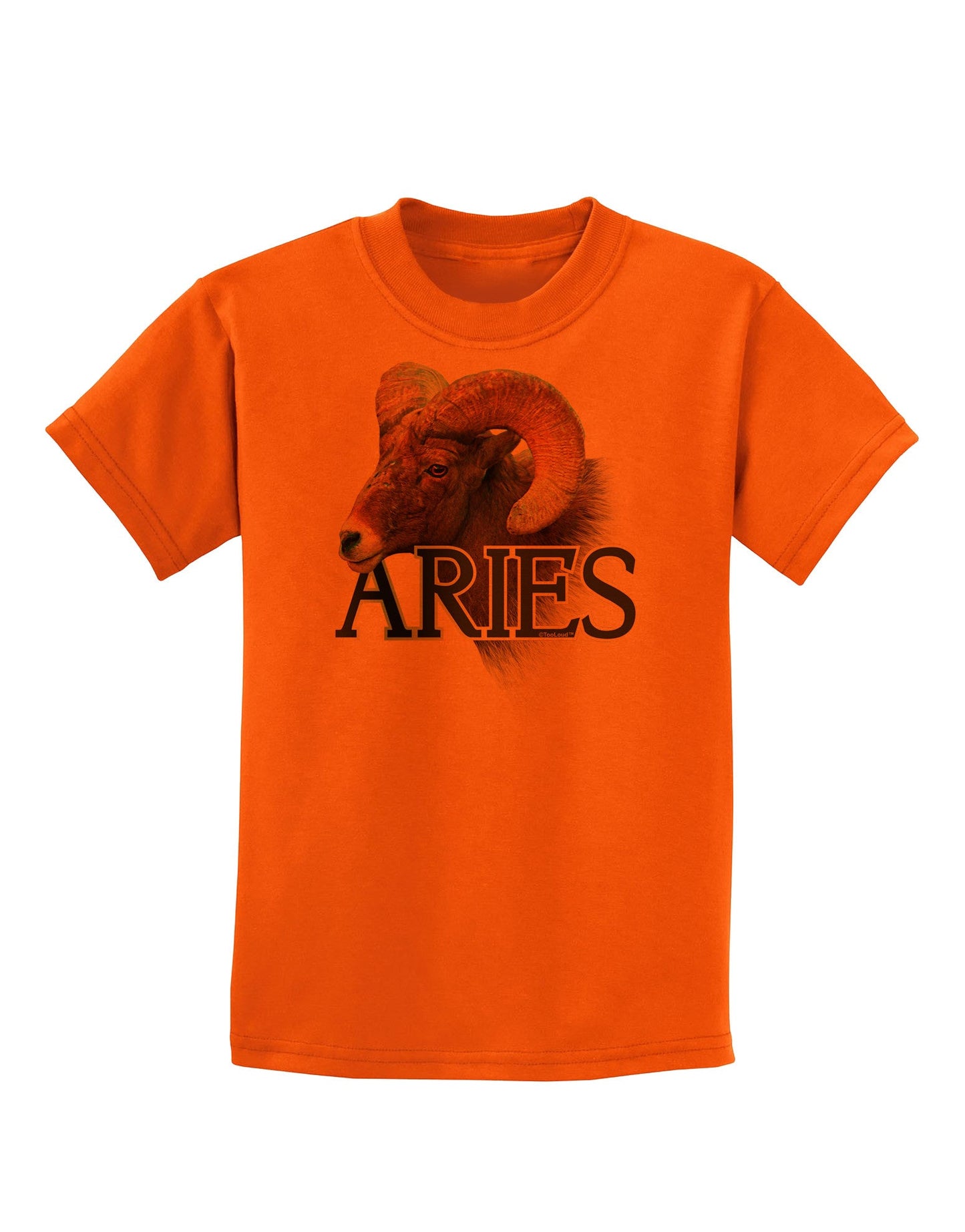 Majestic Aries Picture Childrens T-Shirt-Childrens T-Shirt-TooLoud-Orange-X-Small-Davson Sales
