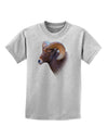 Majestic Bighorn Ram Childrens T-Shirt-Childrens T-Shirt-TooLoud-AshGray-X-Small-Davson Sales