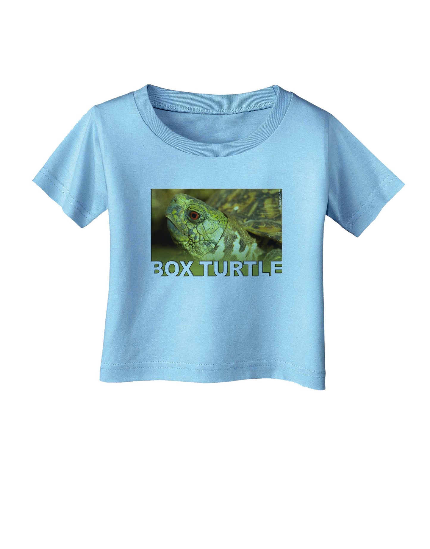 Menacing Turtle with Text Infant T-Shirt-Infant T-Shirt-TooLoud-Aquatic-Blue-06-Months-Davson Sales
