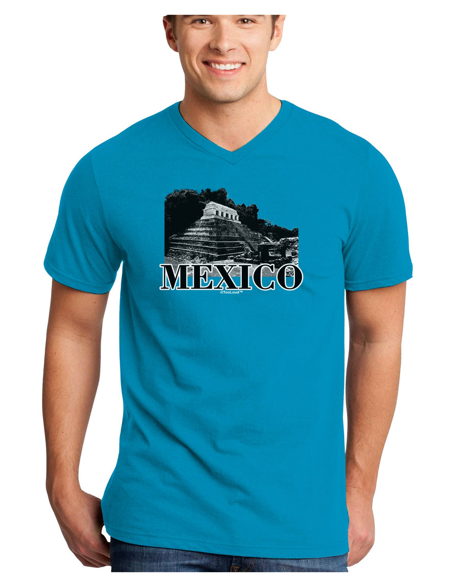 Mexico - Temple No 2 Adult Dark V-Neck T-Shirt-TooLoud-Black-Small-Davson Sales