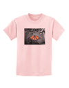 Monarch Butterfly Photo Childrens T-Shirt-Childrens T-Shirt-TooLoud-PalePink-X-Small-Davson Sales