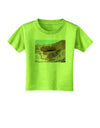 Montezuma Castle Arizona Toddler T-Shirt-Toddler T-Shirt-TooLoud-Lime-Green-2T-Davson Sales