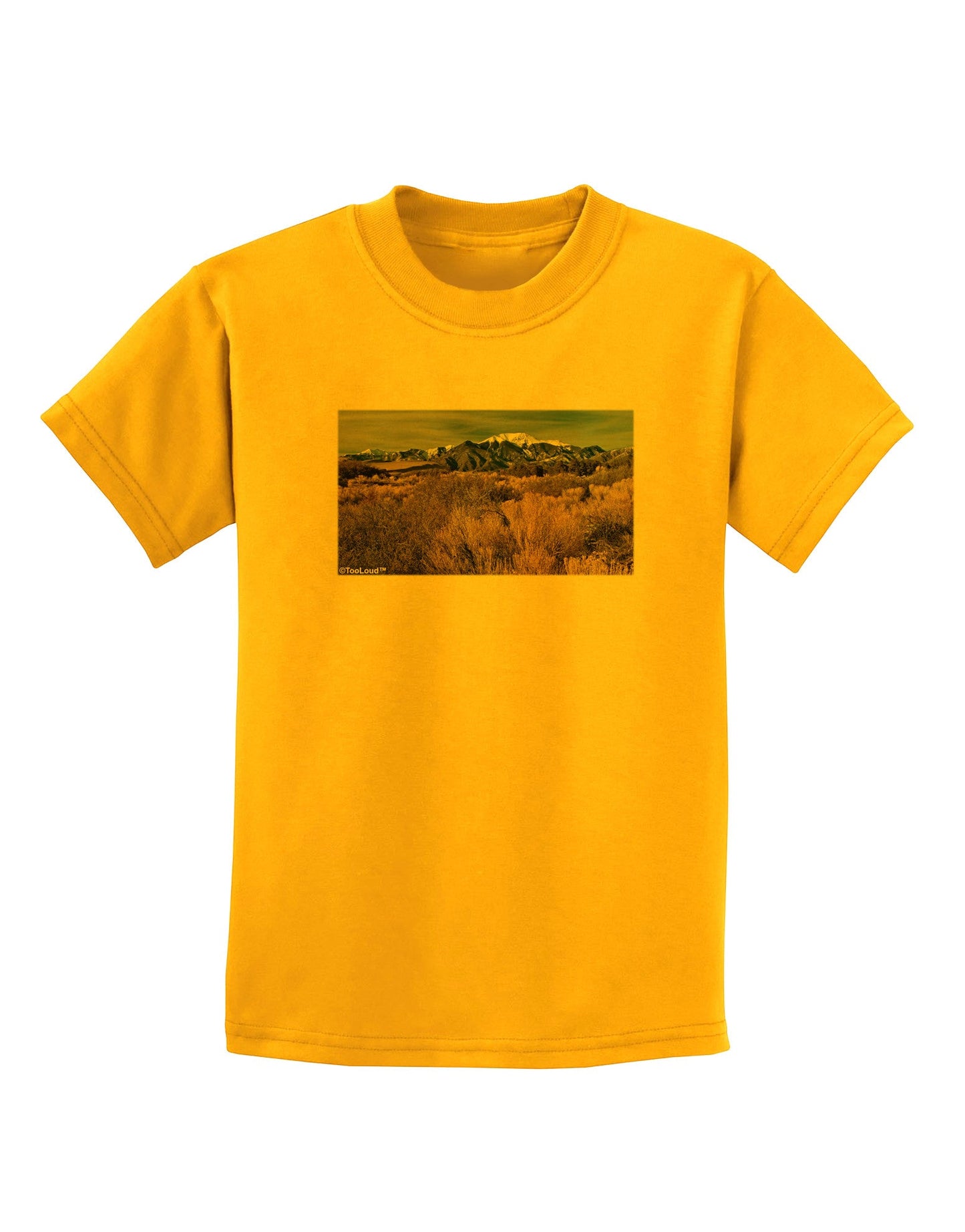 Mountain Forest Park Childrens T-Shirt-Childrens T-Shirt-TooLoud-Gold-X-Small-Davson Sales