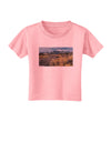 Mountain Forest Park Toddler T-Shirt-Toddler T-Shirt-TooLoud-Candy-Pink-2T-Davson Sales