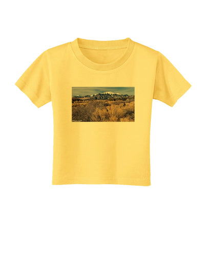 Mountain Forest Park Toddler T-Shirt-Toddler T-Shirt-TooLoud-Yellow-2T-Davson Sales