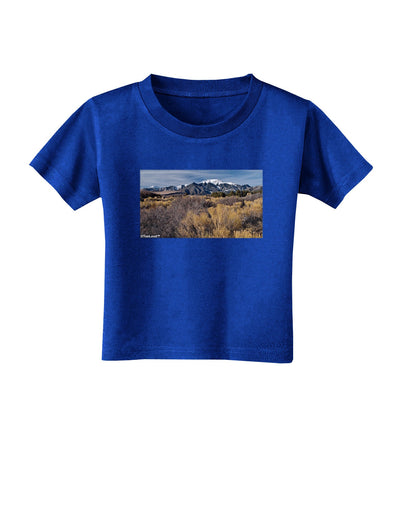 Mountain Forest Park Toddler T-Shirt Dark-Toddler T-Shirt-TooLoud-Royal-Blue-2T-Davson Sales