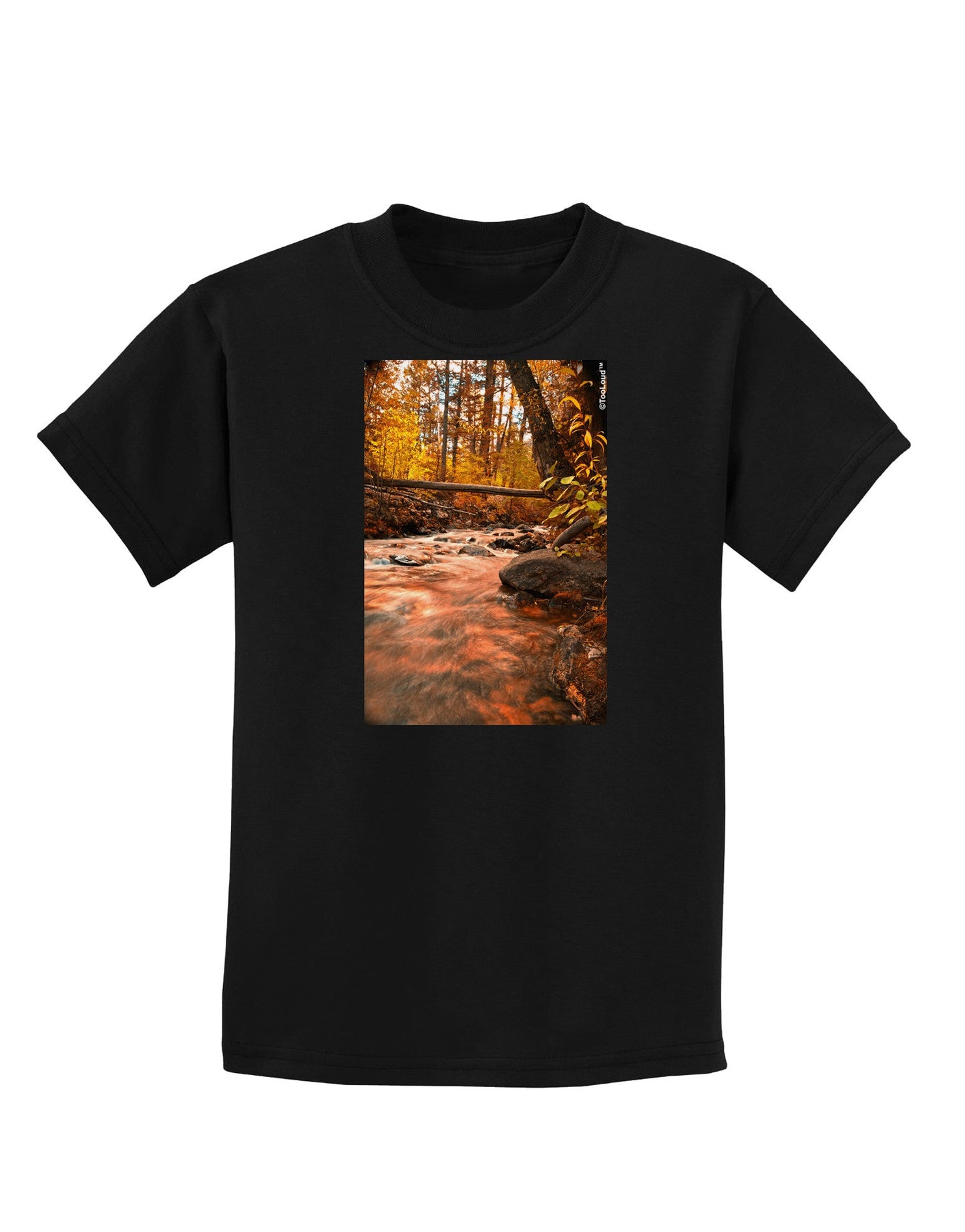 Mt Shavano Colorado Childrens Dark T-Shirt-Childrens T-Shirt-TooLoud-Black-X-Small-Davson Sales