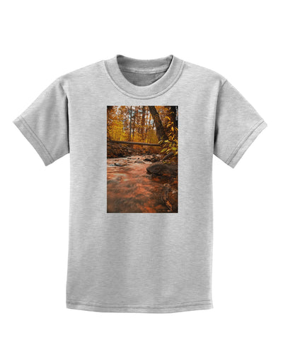 Mt Shavano Colorado Childrens T-Shirt-Childrens T-Shirt-TooLoud-AshGray-X-Small-Davson Sales