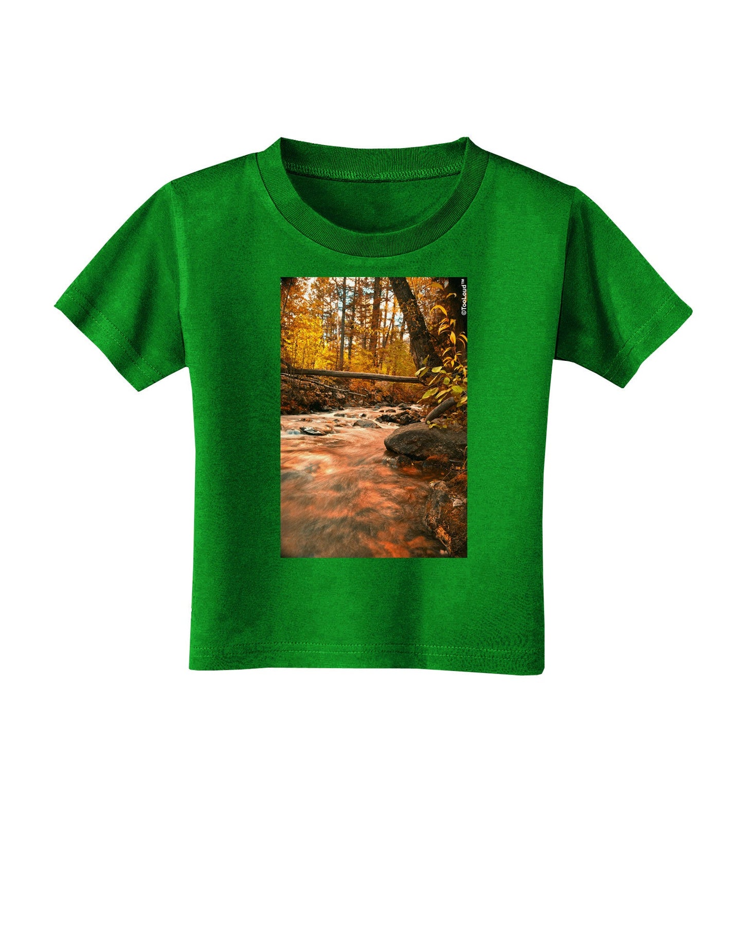 Mt Shavano Colorado Toddler T-Shirt Dark-Toddler T-Shirt-TooLoud-Clover-Green-2T-Davson Sales