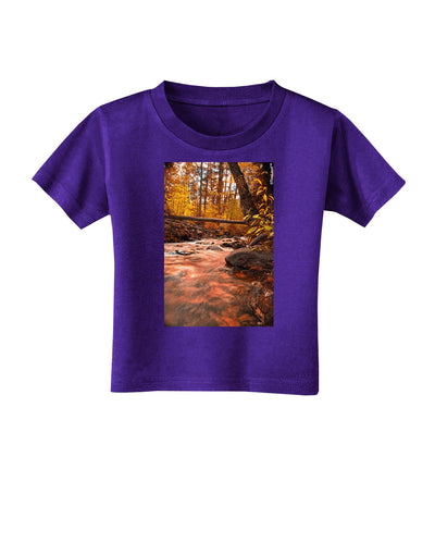 Mt Shavano Colorado Toddler T-Shirt Dark-Toddler T-Shirt-TooLoud-Purple-2T-Davson Sales