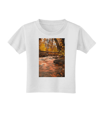 Mt Shavano Colorado Toddler T-Shirt-Toddler T-Shirt-TooLoud-White-2T-Davson Sales