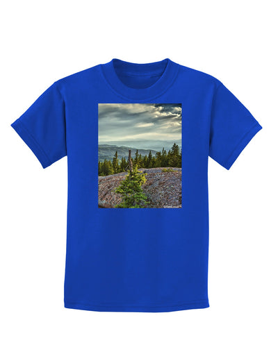 Nature Photography - Pine Kingdom Childrens Dark T-Shirt-Childrens T-Shirt-TooLoud-Royal-Blue-X-Small-Davson Sales