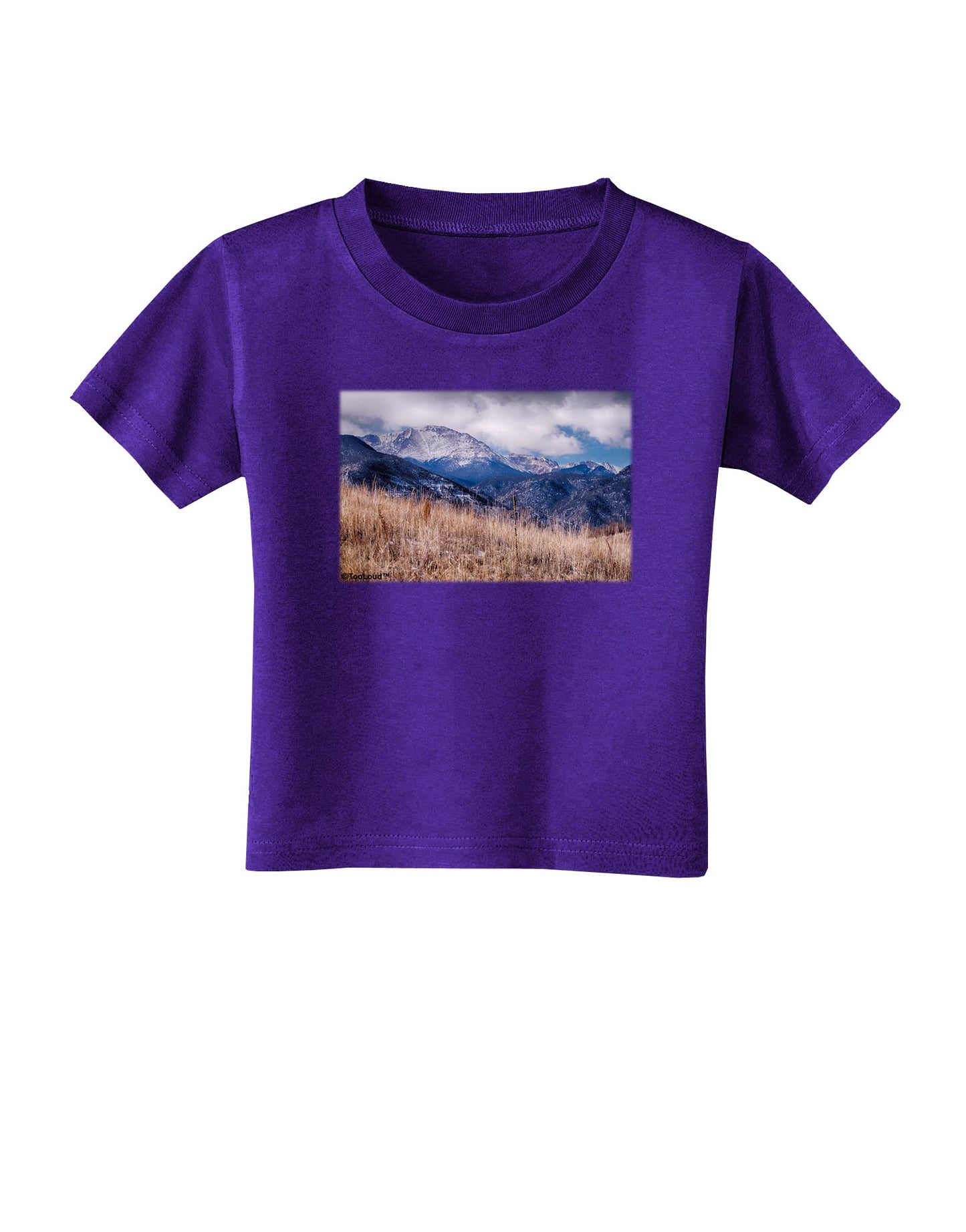 Pikes Peak CO Mountains Toddler T-Shirt Dark by TooLoud-Toddler T-Shirt-TooLoud-Purple-2T-Davson Sales