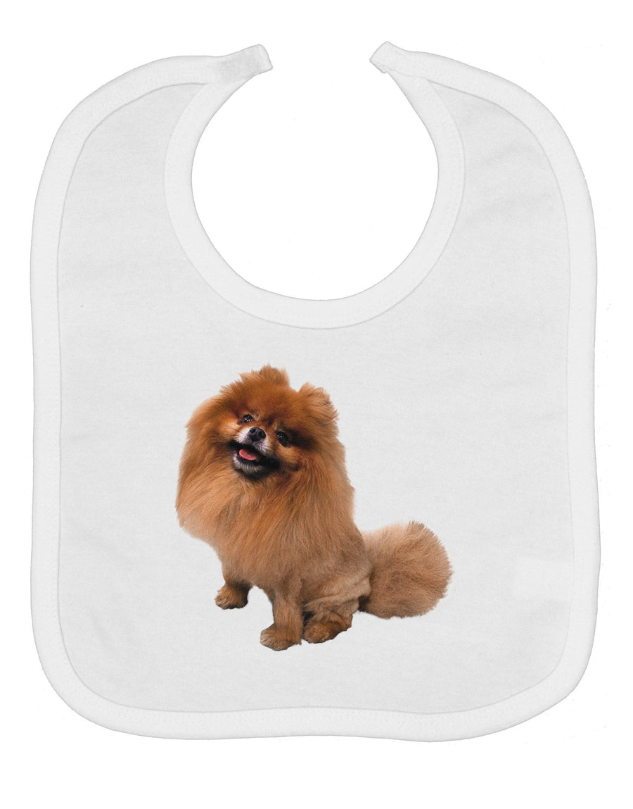 Pomeranian Sitting All Cute-Like Baby Bib