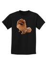 Pomeranian Sitting All Cute-Like Childrens Dark T-Shirt-Childrens T-Shirt-TooLoud-Black-X-Small-Davson Sales