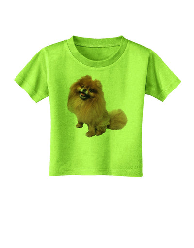 Pomeranian Sitting All Cute-Like Toddler T-Shirt-Toddler T-Shirt-TooLoud-Lime-Green-2T-Davson Sales