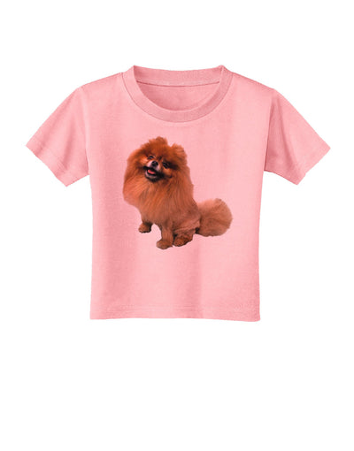 Pomeranian Sitting All Cute-Like Toddler T-Shirt-Toddler T-Shirt-TooLoud-Candy-Pink-2T-Davson Sales