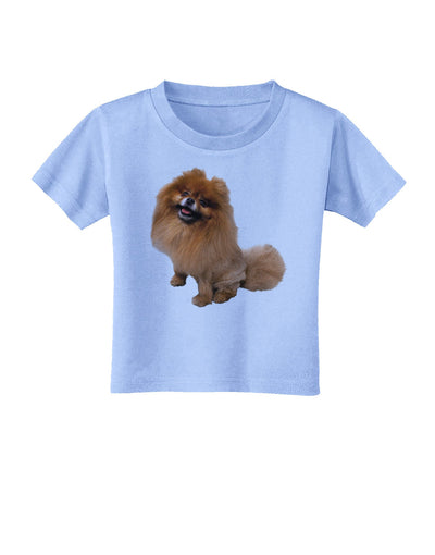 Pomeranian Sitting All Cute-Like Toddler T-Shirt-Toddler T-Shirt-TooLoud-Aquatic-Blue-2T-Davson Sales