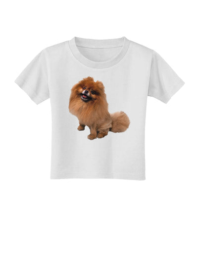 Pomeranian Sitting All Cute-Like Toddler T-Shirt-Toddler T-Shirt-TooLoud-White-2T-Davson Sales