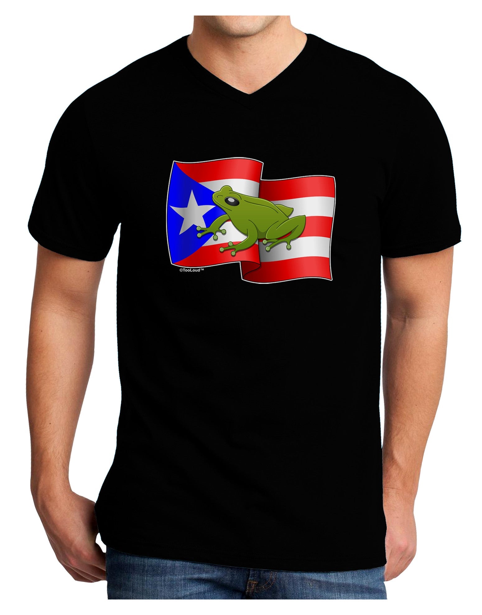 Puerto Rico Coqui Adult Dark V-Neck T-Shirt-Mens V-Neck T-Shirt-TooLoud-Black-Small-Davson Sales