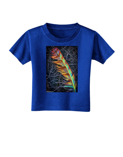 Rainbow Feather Toddler T-Shirt Dark-Toddler T-Shirt-TooLoud-Royal-Blue-2T-Davson Sales