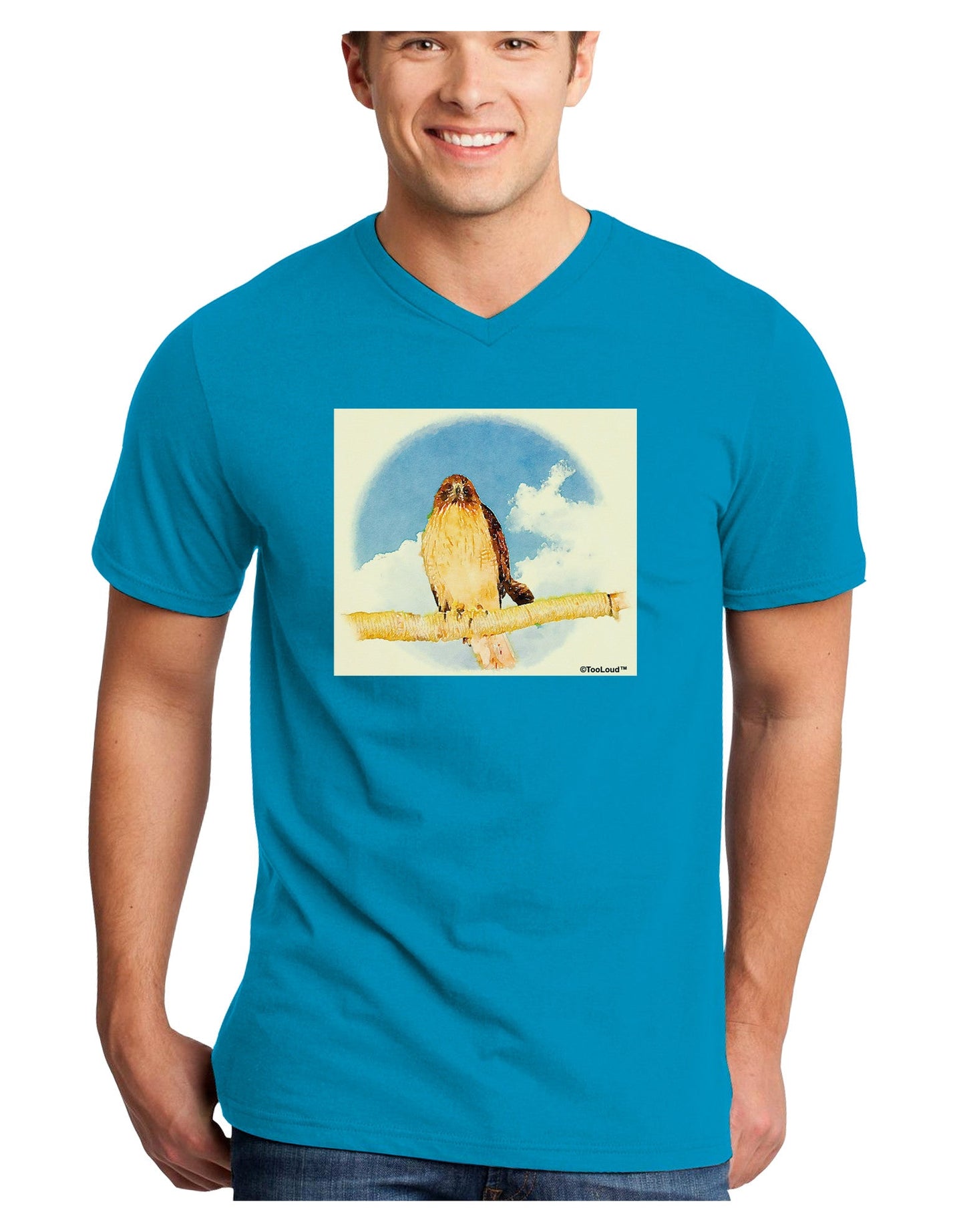 Red-tailed Hawk Adult Dark V-Neck T-Shirt-TooLoud-Turquoise-Small-Davson Sales