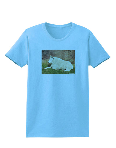 Relaxing Ram Womens T-Shirt-Womens T-Shirt-TooLoud-Aquatic-Blue-X-Small-Davson Sales