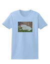 Relaxing Ram Womens T-Shirt-Womens T-Shirt-TooLoud-Light-Blue-X-Small-Davson Sales