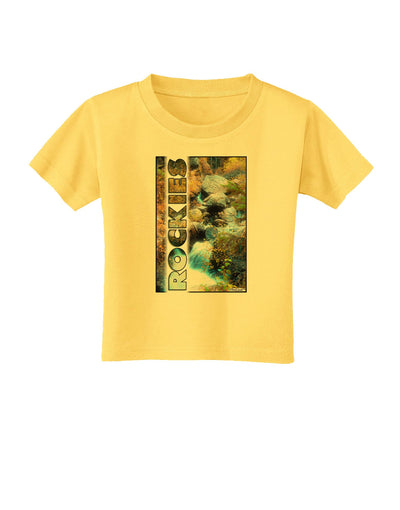 Rockies Waterfall with Text Toddler T-Shirt-Toddler T-Shirt-TooLoud-Yellow-2T-Davson Sales