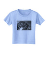 San Juan Mountain Range 2 Toddler T-Shirt-Toddler T-Shirt-TooLoud-Aquatic-Blue-2T-Davson Sales